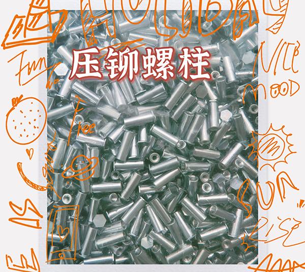  东莞压铆绿巨人视频黄下载安装柱厂家
