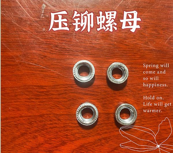 压铆绿巨人视频黄下载安装柱定做